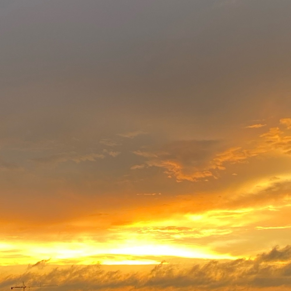 Meet your Posher, Shaida